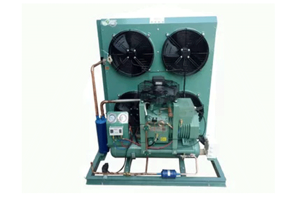 Cold Storage Air cooled compressor freezer refrigeration unit condensing unit Low Temperature for meat